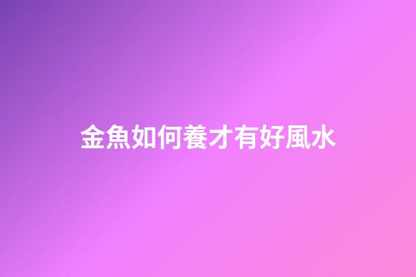 金魚如何養才有好風水