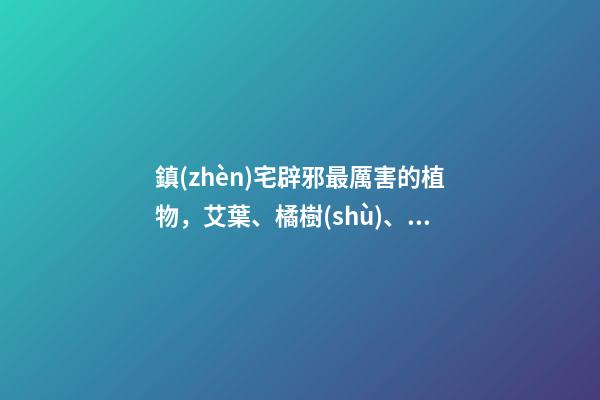鎮(zhèn)宅辟邪最厲害的植物，艾葉、橘樹(shù)、桃樹(shù)等