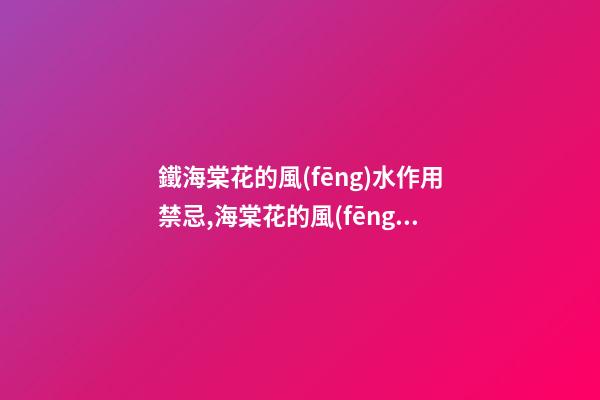 鐵海棠花的風(fēng)水作用禁忌,海棠花的風(fēng)水作用禁忌