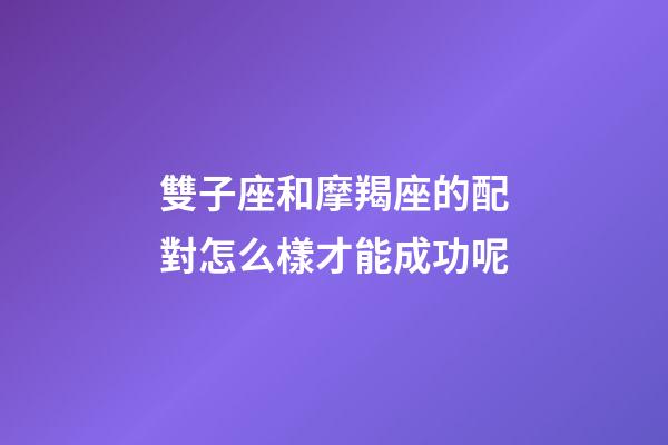 雙子座和摩羯座的配對怎么樣才能成功呢