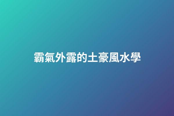 霸氣外露的土豪風水學