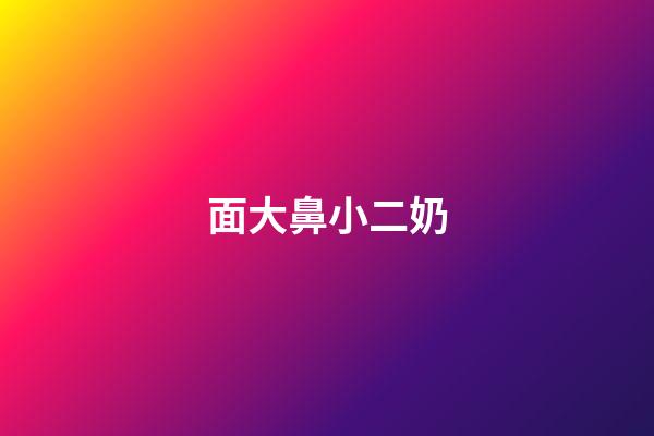 面大鼻小二奶