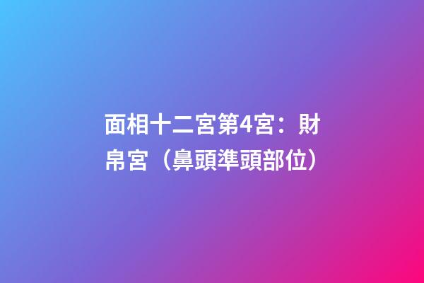 面相十二宮第4宮：財帛宮（鼻頭準頭部位）