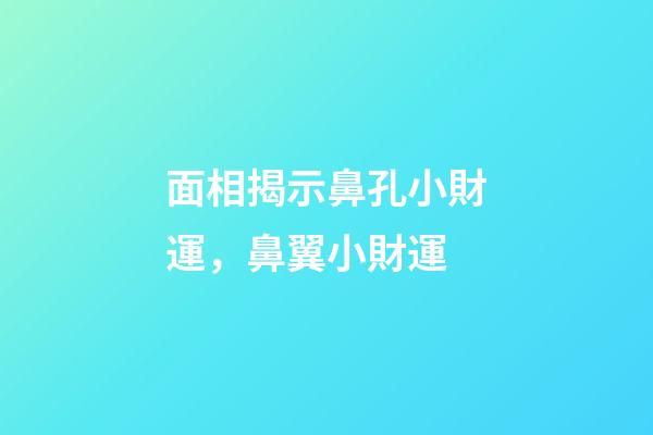 面相揭示鼻孔小財運，鼻翼小財運