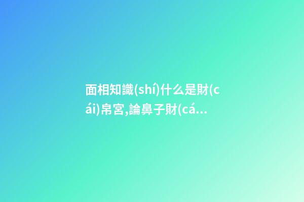 面相知識(shí)什么是財(cái)帛宮,論鼻子財(cái)富