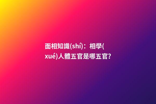 面相知識(shí)：相學(xué)人體五官是哪五官？