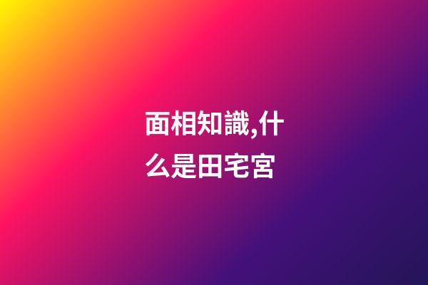 面相知識,什么是田宅宮