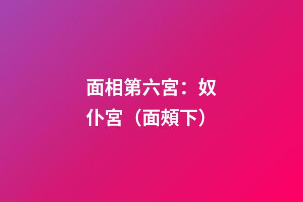 面相第六宮：奴仆宮（面頰下）