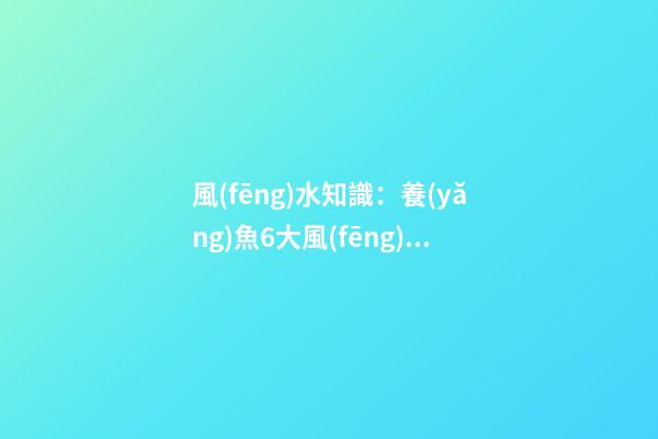 風(fēng)水知識：養(yǎng)魚6大風(fēng)水禁忌