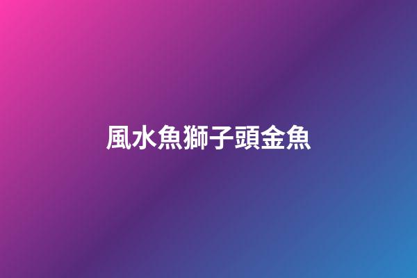 風水魚獅子頭金魚