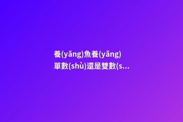 養(yǎng)魚養(yǎng)單數(shù)還是雙數(shù)