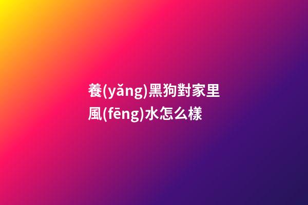 養(yǎng)黑狗對家里風(fēng)水怎么樣