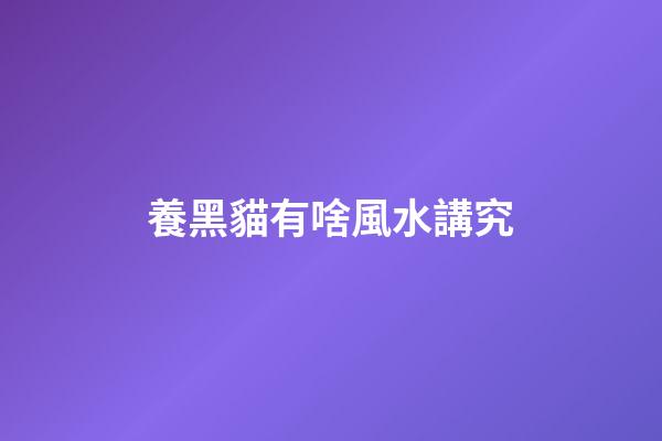 養黑貓有啥風水講究