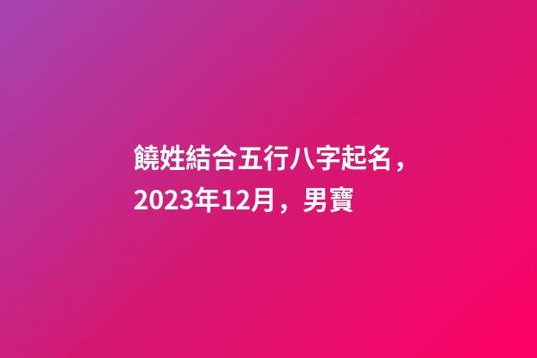 饒姓結合五行八字起名，2023年12月，男寶