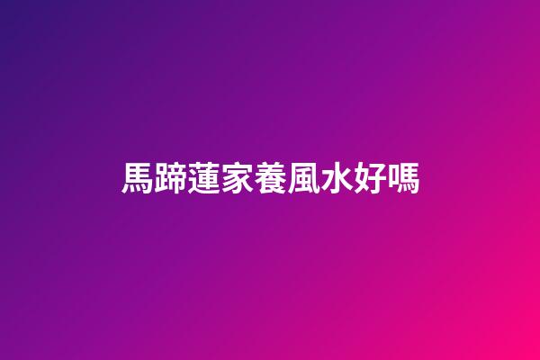 馬蹄蓮家養風水好嗎