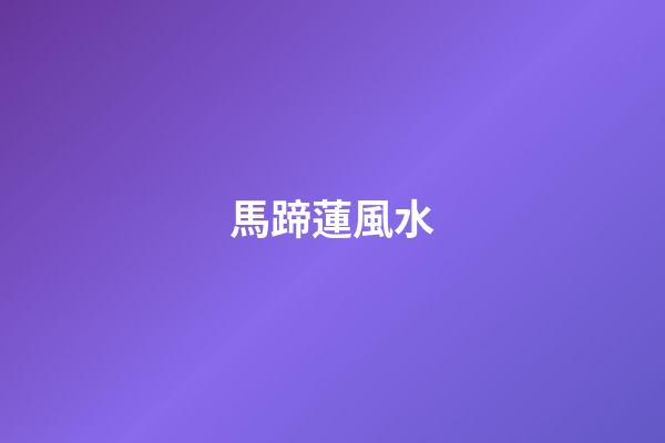 馬蹄蓮風水