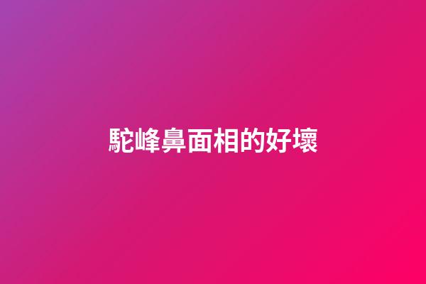 駝峰鼻面相的好壞