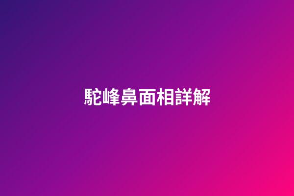 駝峰鼻面相詳解