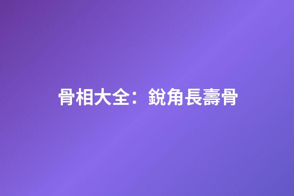 骨相大全：銳角長壽骨