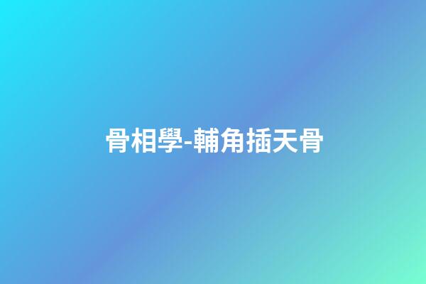 骨相學-輔角插天骨