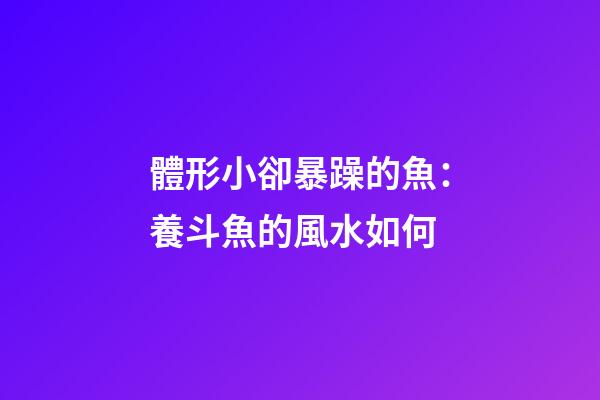 體形小卻暴躁的魚：養斗魚的風水如何