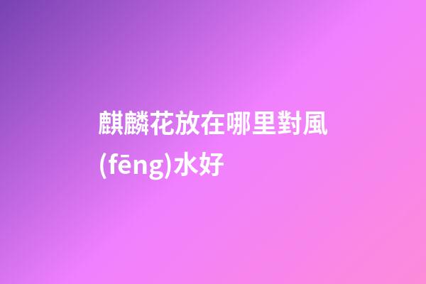 麒麟花放在哪里對風(fēng)水好