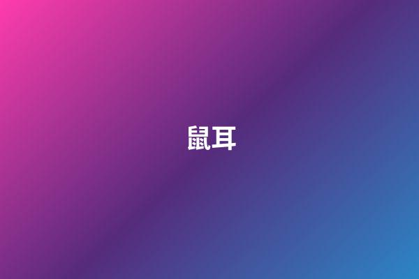 鼠耳