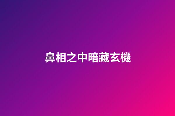 鼻相之中暗藏玄機