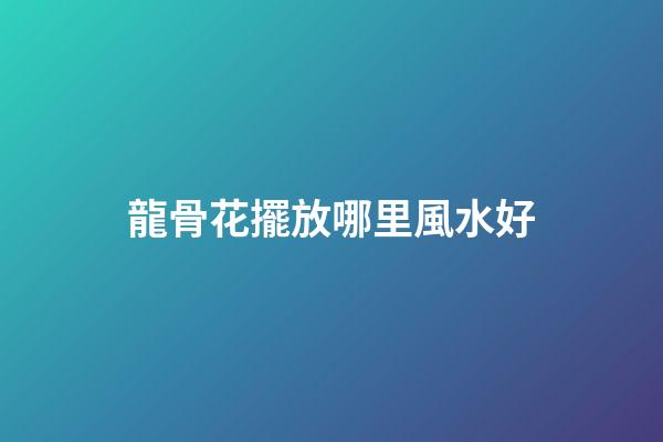 龍骨花擺放哪里風水好