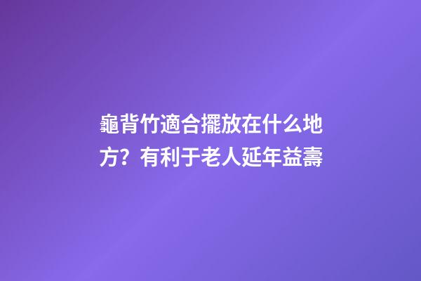 龜背竹適合擺放在什么地方？有利于老人延年益壽